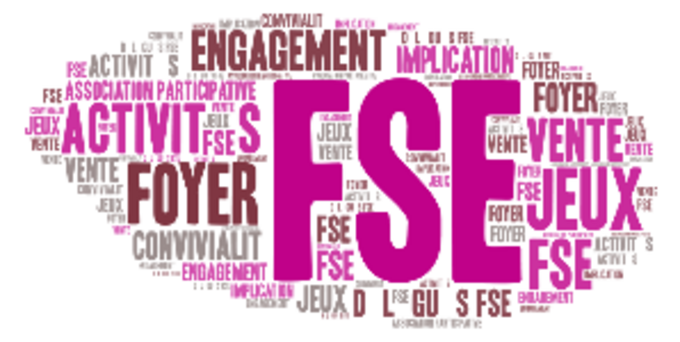 nuage de mot FSE.png